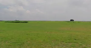 Bakarpur, Munger, Bihar 811202, India preview 3