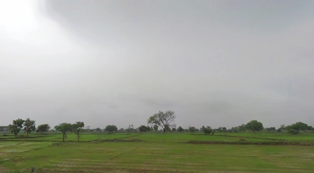 Parsada, Chhattisgarh 493445, India