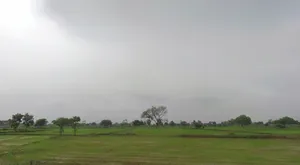 Parsada, Chhattisgarh 493445, India preview 3