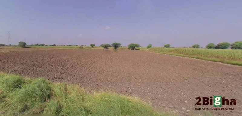 62FW+8JQ, Guda Rd, Jhalamand, Jodhpur, Rajasthan 342005, India preview 2