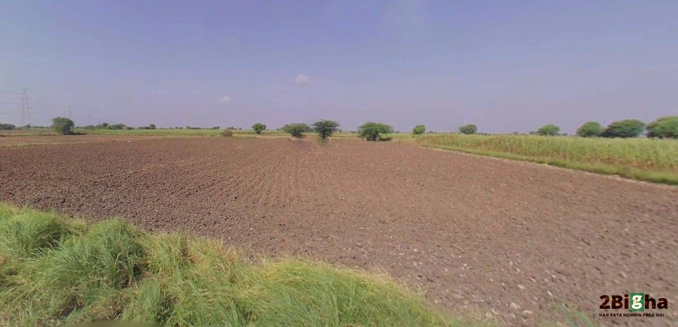 62FW+8JQ, Guda Rd, Jhalamand, Jodhpur, Rajasthan 342005, India