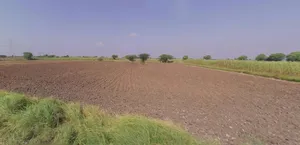 62FW+8JQ, Guda Rd, Jhalamand, Jodhpur, Rajasthan 342005, India preview 2