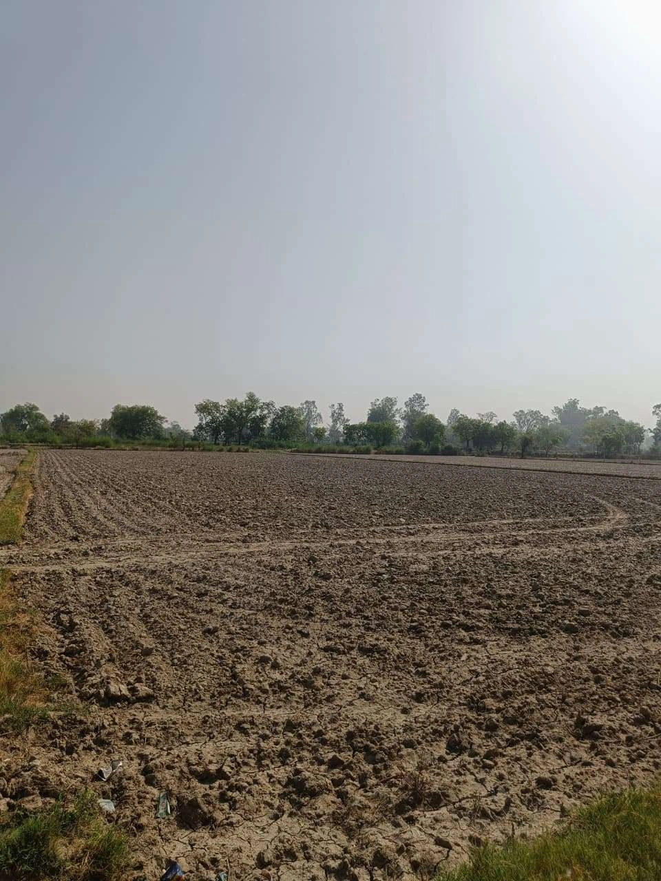 Ajhai Kalan, Uttar Pradesh 281406, India