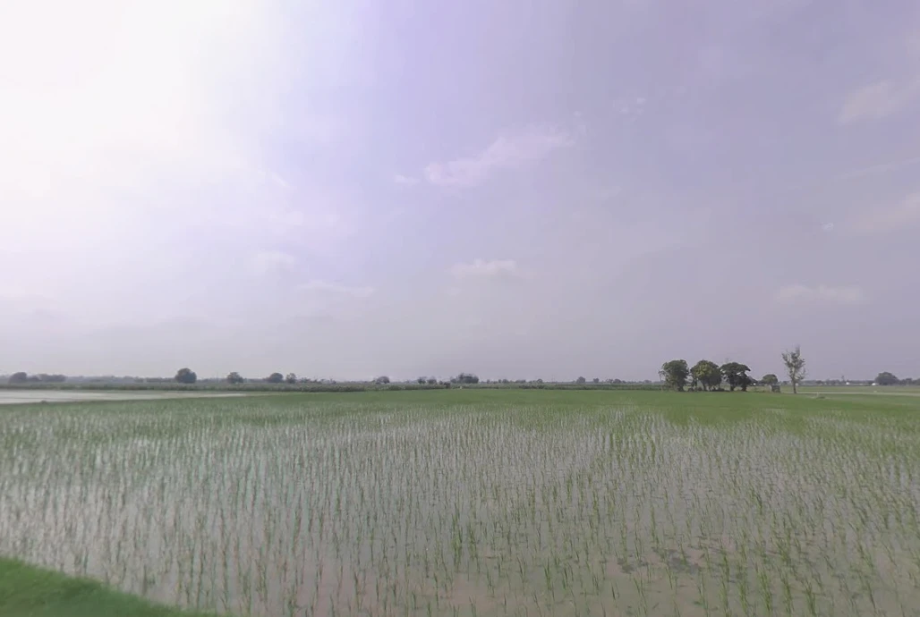 Khatoo, Rajasthan 332602, India