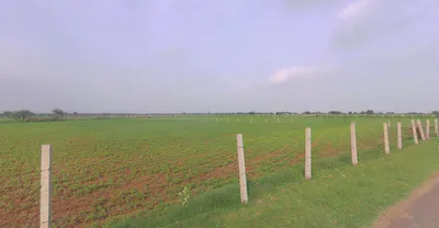 Dharavadi, Gujarat 385340, India preview 2