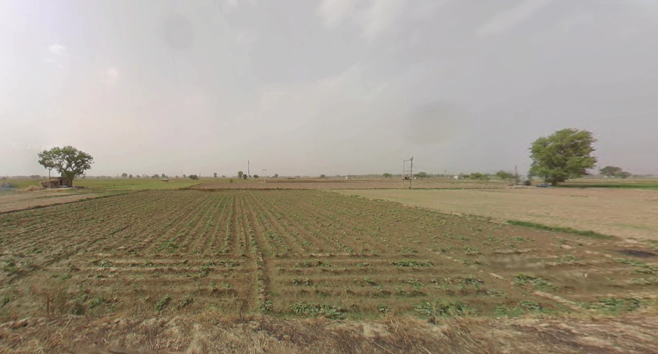 Ganaur, Haryana 131101, India