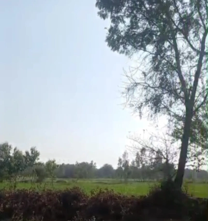 R523+7G Gaureyakala, Lucknow, Uttar Pradesh, India