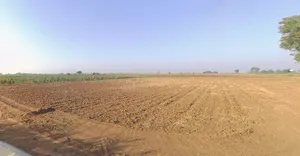 Vanthal, Gujarat 382150, India preview 3