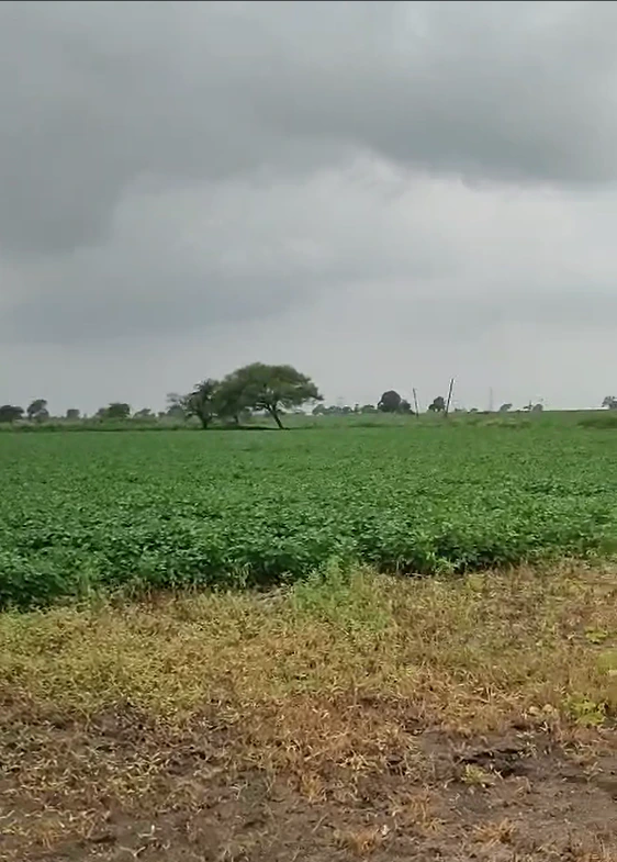 Balwada, Dhar, Madhya Pradesh 451224, India