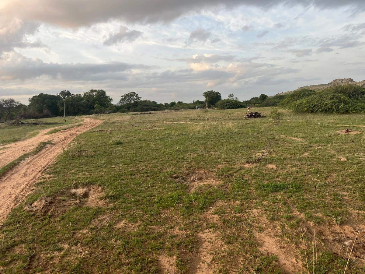 XX93+R8 Tangedukunta, Andhra Pradesh, India