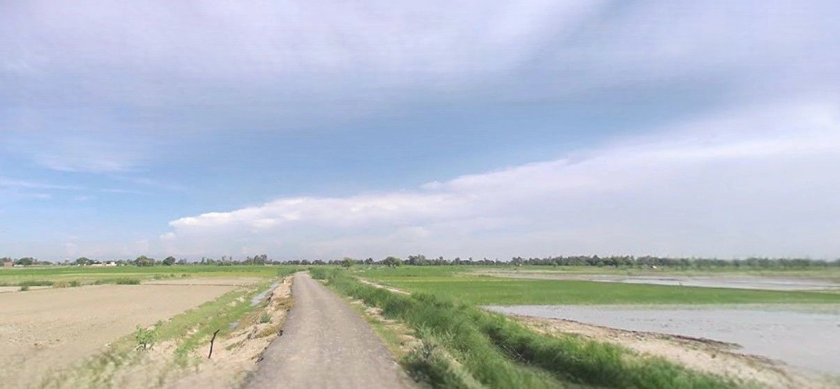 Patiyali, Uttar Pradesh 207243, India