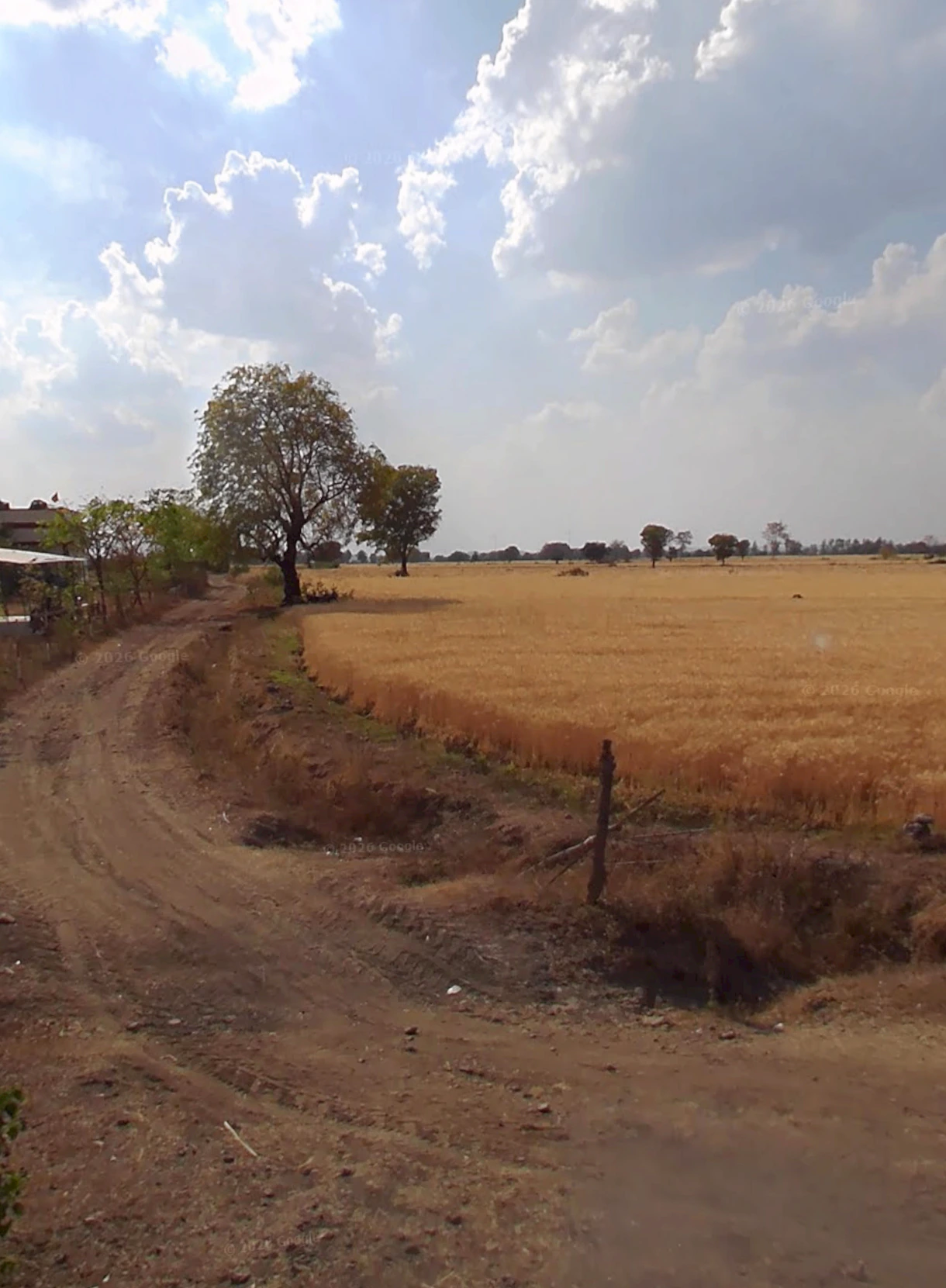 Shajapur, Madhya Pradesh 465001, India
