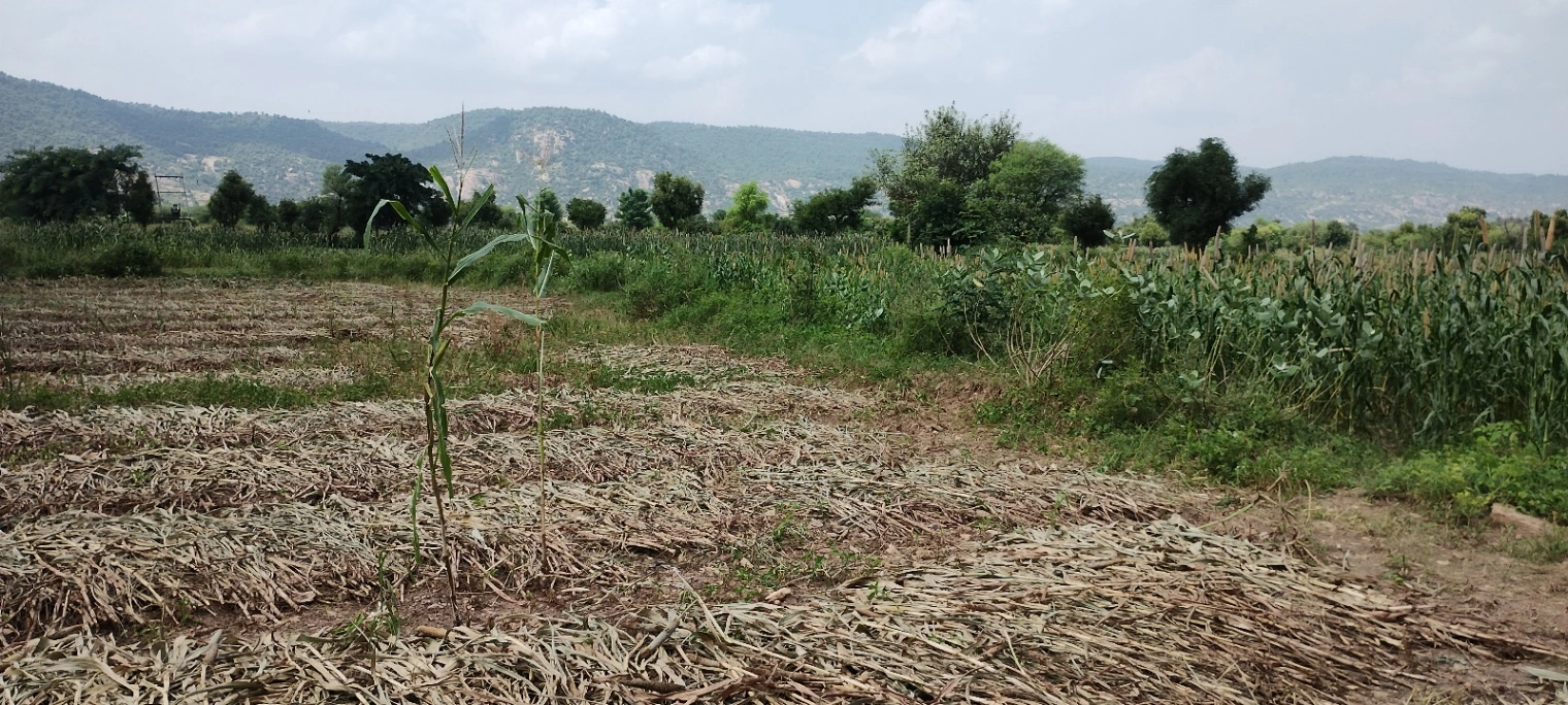 Dadhikar Rd, Hajipur, Rajasthan 301001, India