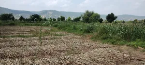 Dadhikar Rd, Hajipur, Rajasthan 301001, India preview 4