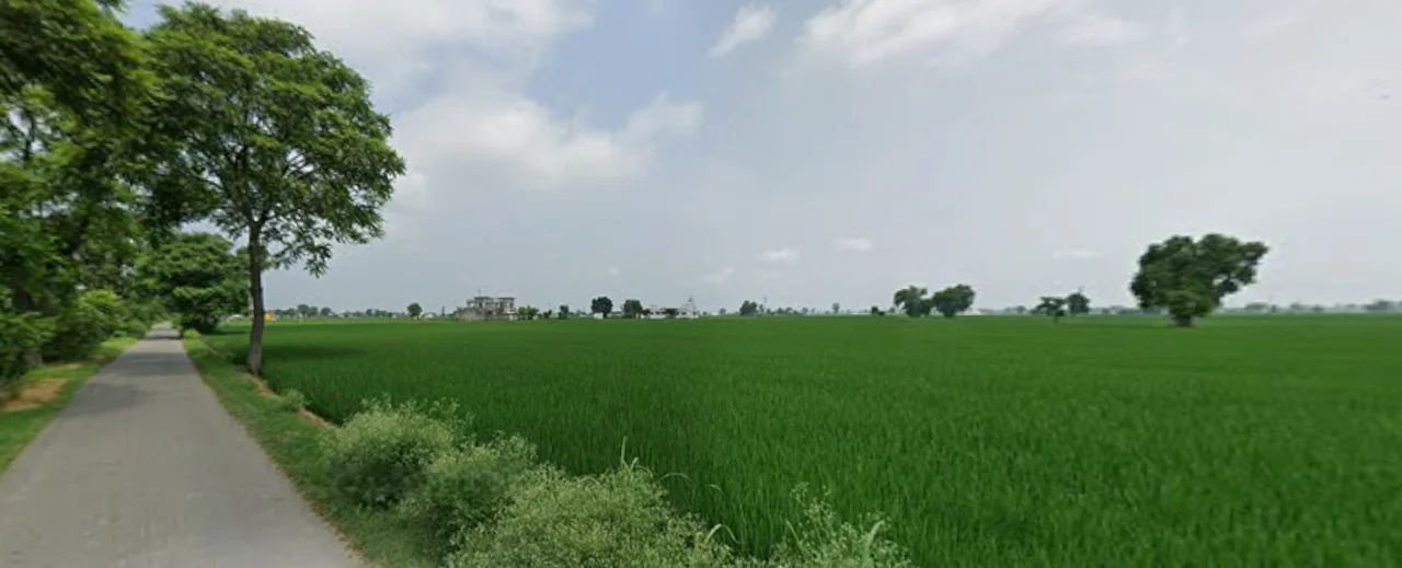 Dhilwan, Punjab 144804, India preview 3