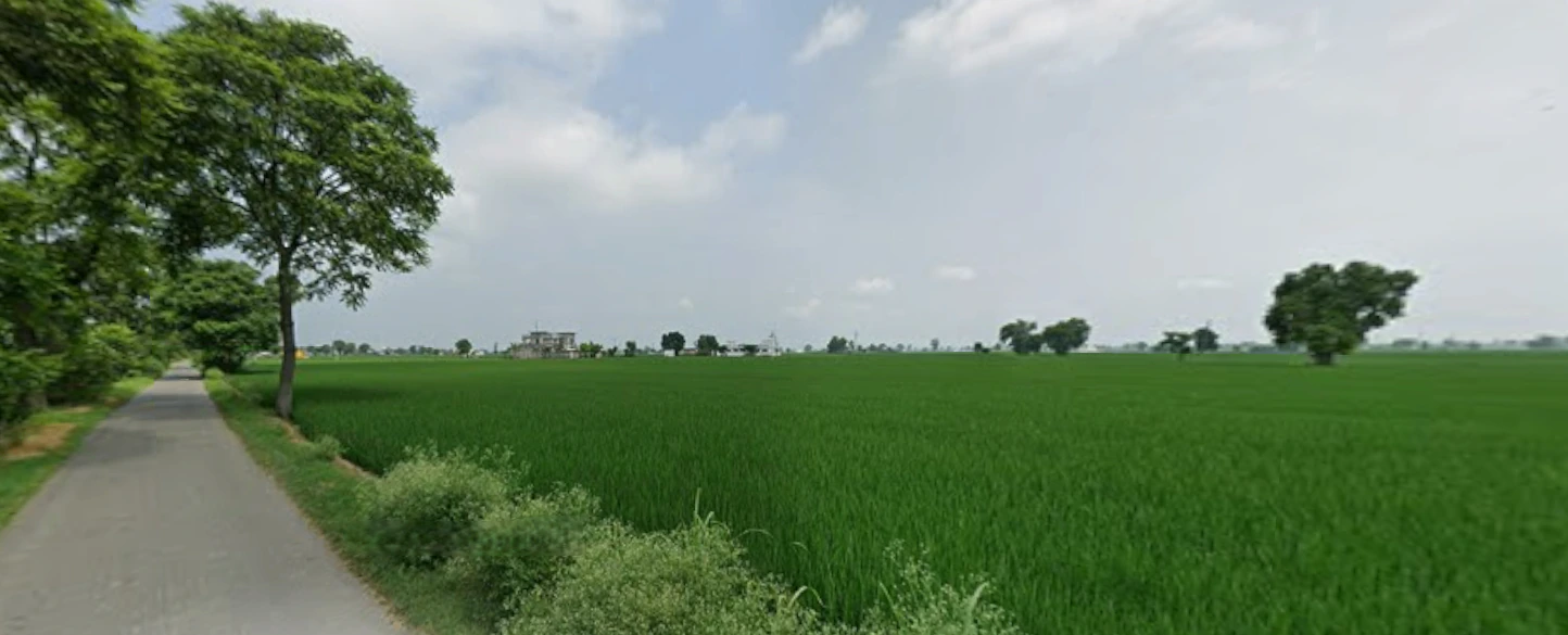 Dhilwan, Punjab 144804, India