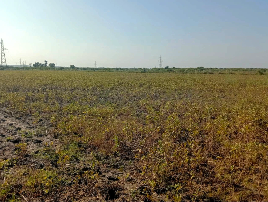 QH2P+CFM, Junglee Mohal, West Bengal 735234, India