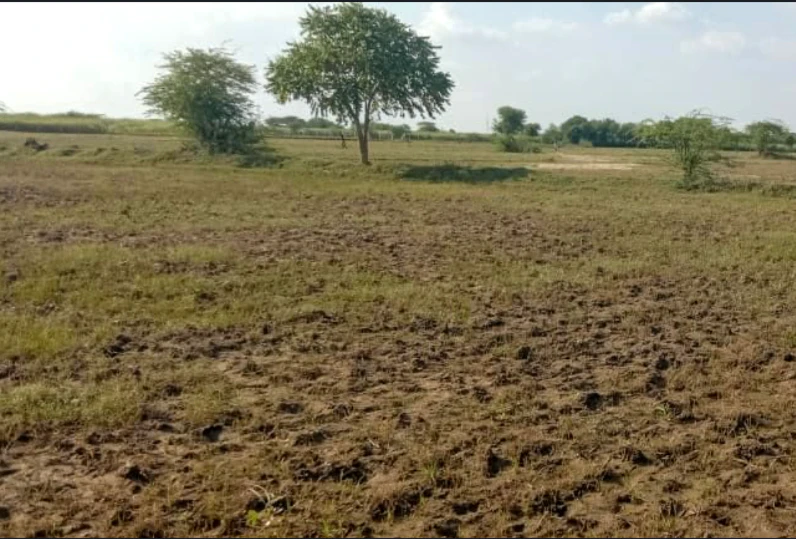 Nawagaon, Chhattisgarh 492101, India