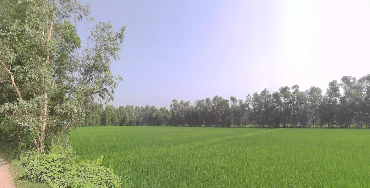Rampur, Uttar Pradesh, India