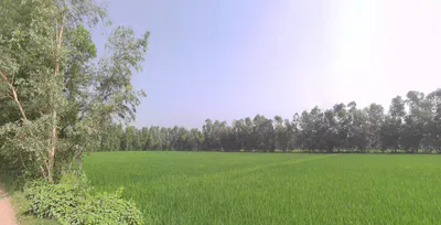 Rampur, Uttar Pradesh, India preview 2