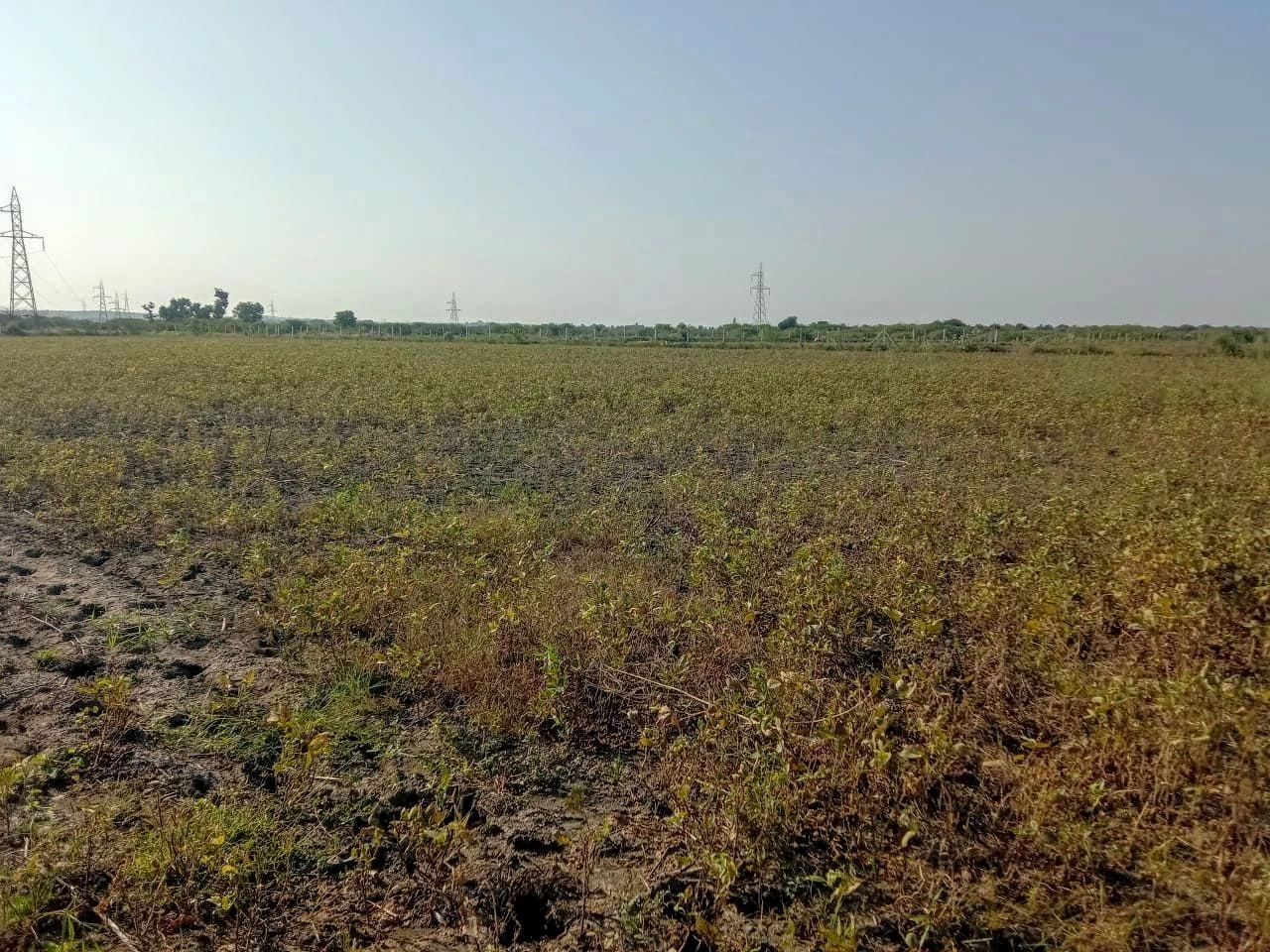 Barhana, Jhajjar, Haryana 124107, India