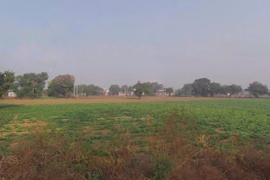 Chamroda, Rajasthan 301405, India