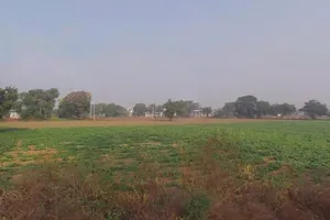 Chamroda, Rajasthan 301405, India preview 2