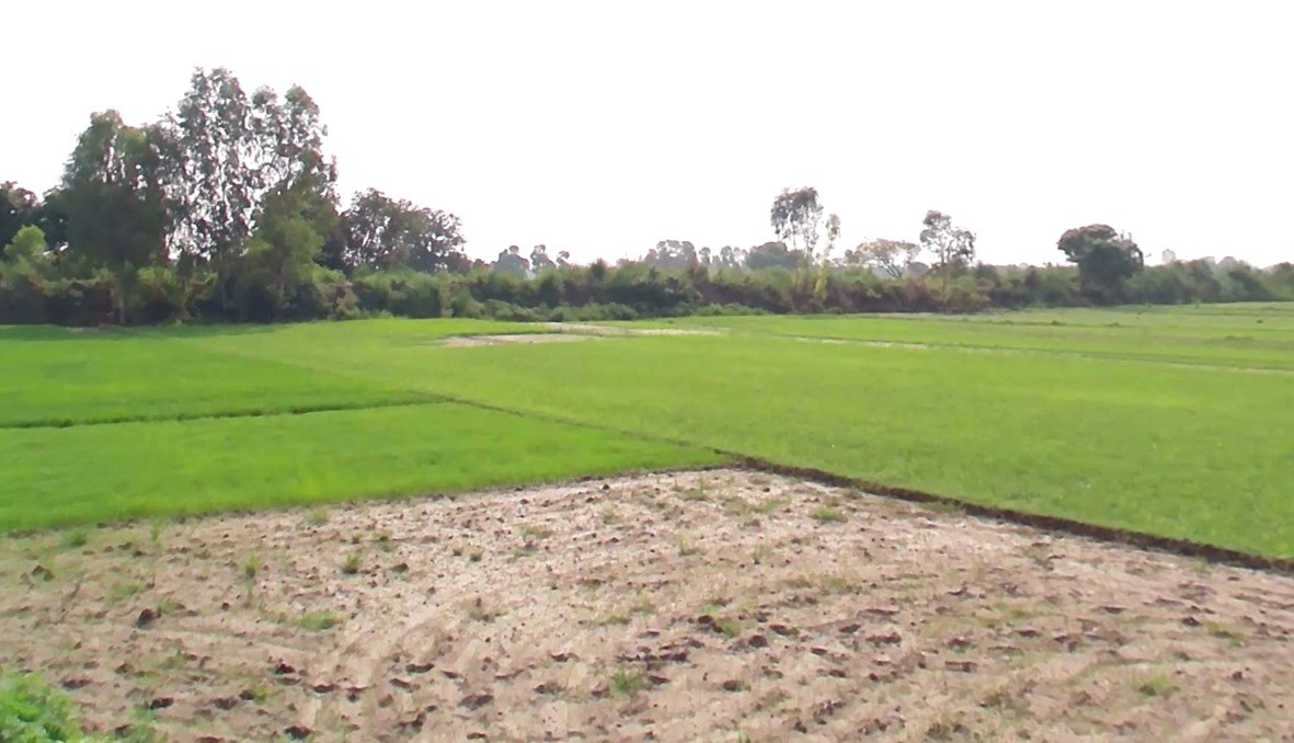 Kuluwa, Madhya Pradesh, India