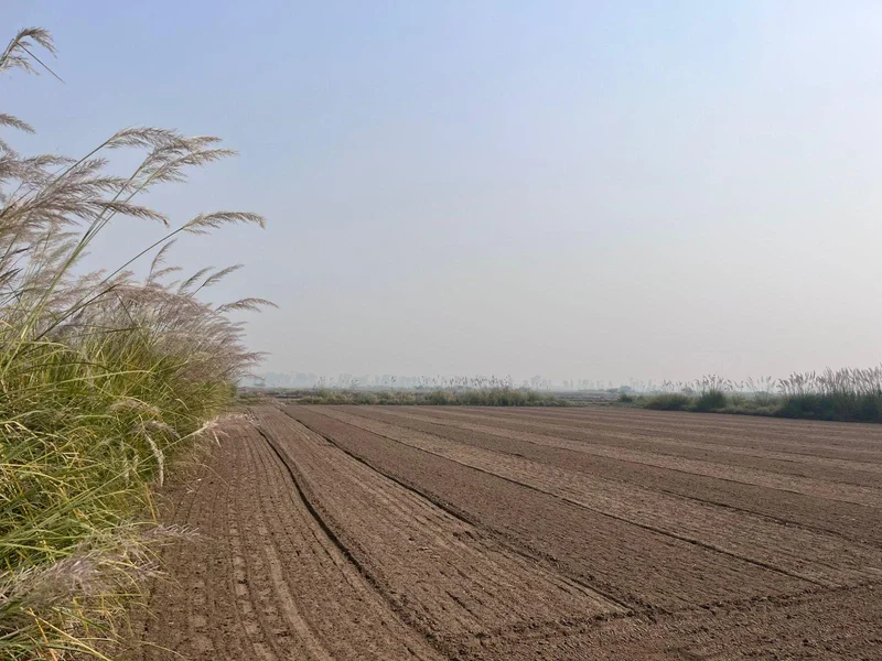 Pondri, Haryana, India preview 3