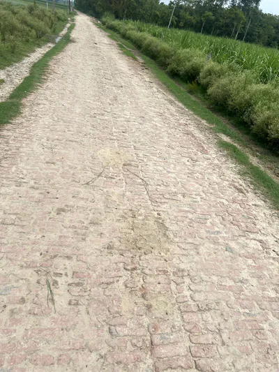 Mawana, Uttar Pradesh, India preview 4