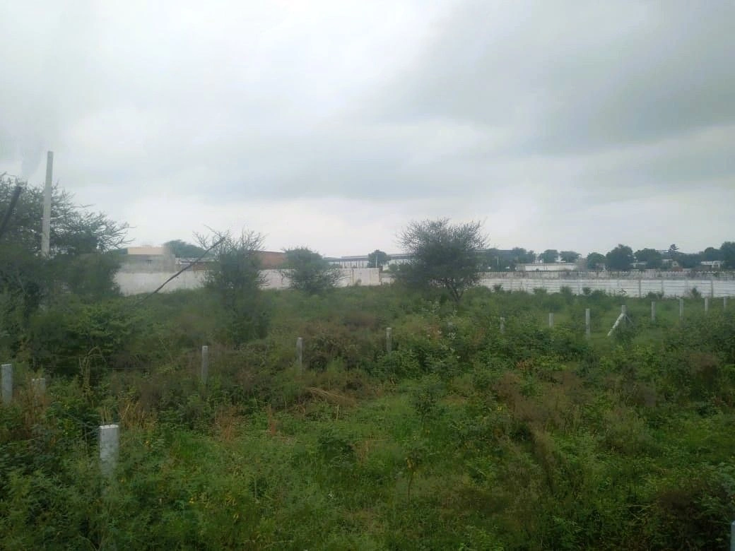 Farukh Nagar, Haryana 122506, India
