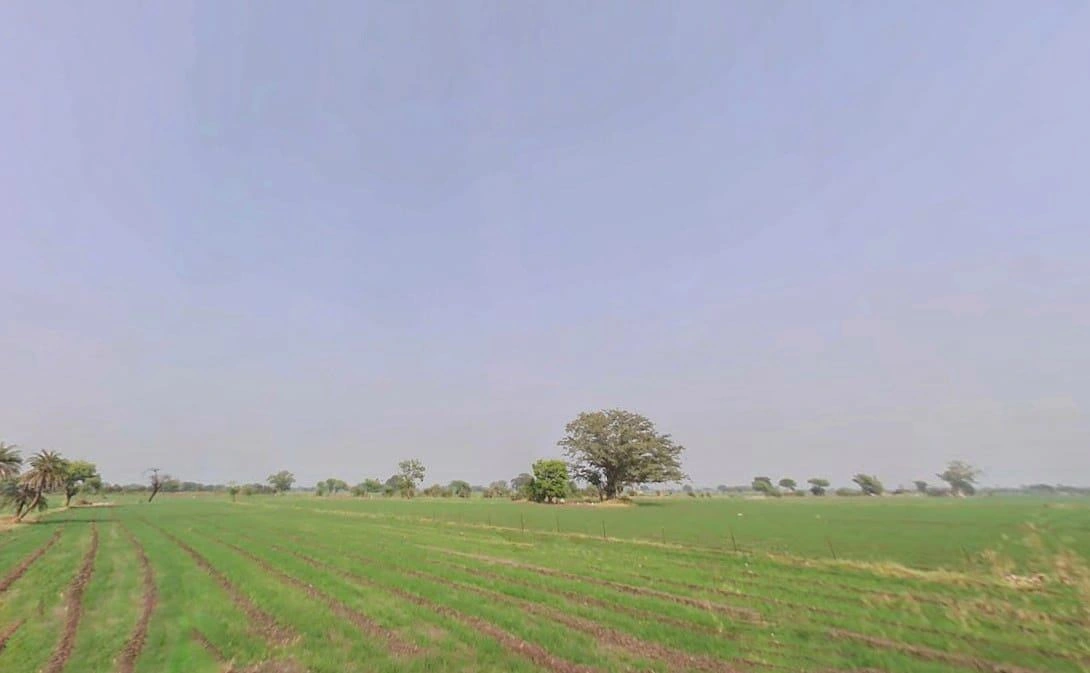 9VF9+C6M, Ghatiya, Madhya Pradesh 456550, India