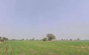 9VF9+C6M, Ghatiya, Madhya Pradesh 456550, India preview 2