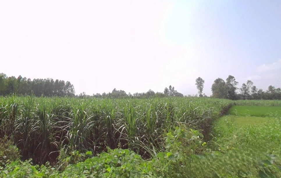 Dehradun Rd, Biharigarh, Uttar Pradesh, India