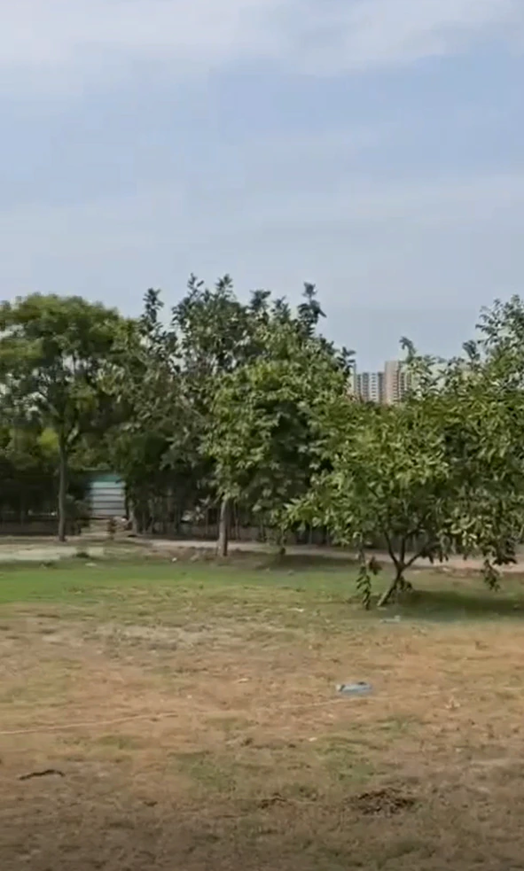 Bhindaura, Banda, Uttar Pradesh 210128, India