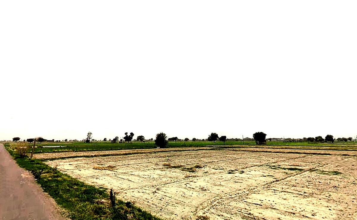 Pataudi, Haryana 122503, India