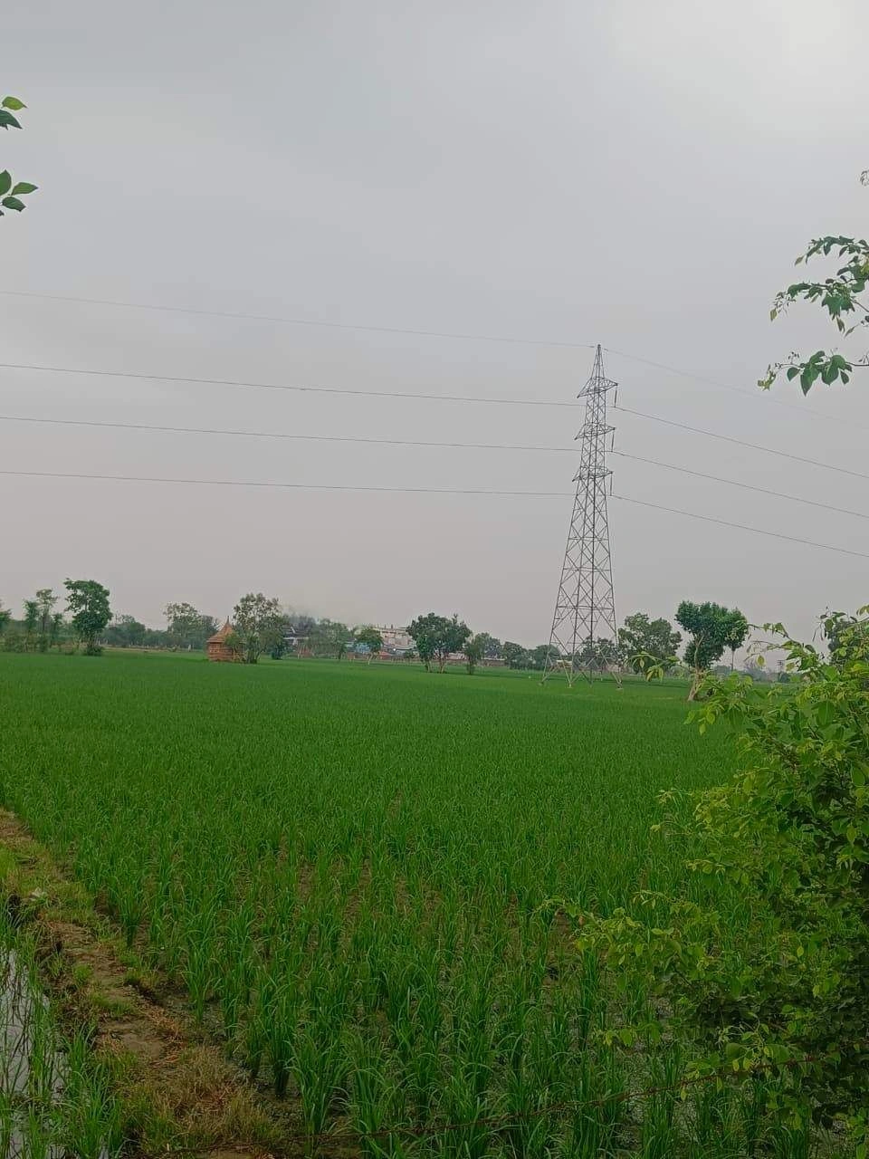 Bukharari, Mathura, Uttar Pradesh, India