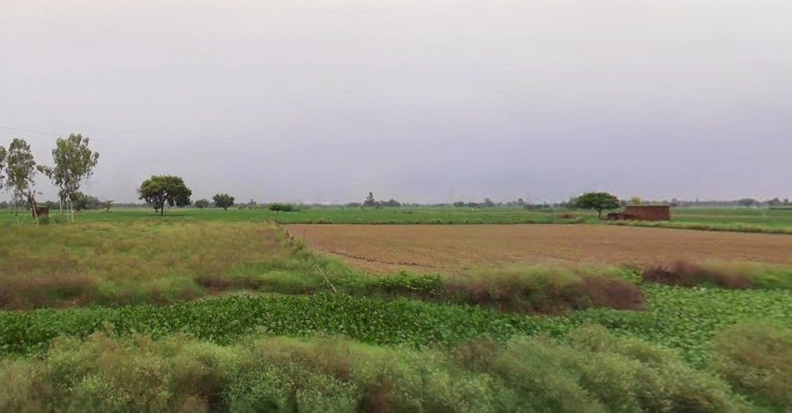 Khurja, Uttar Pradesh 203131, India