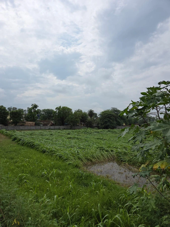 Harchandpur, Haryana 122103, India