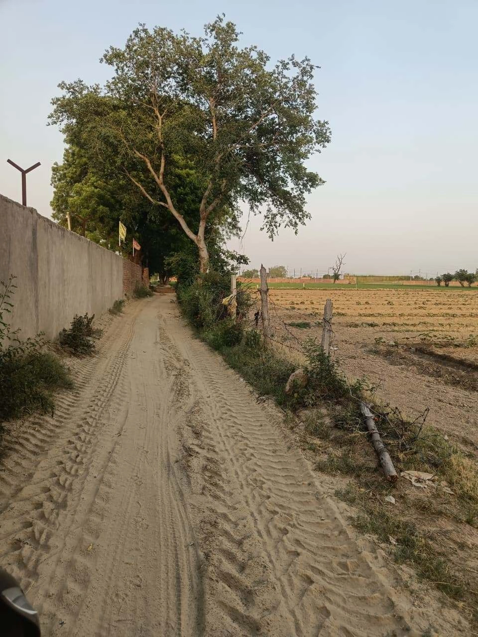 Chandauri, Uttar Pradesh, India
