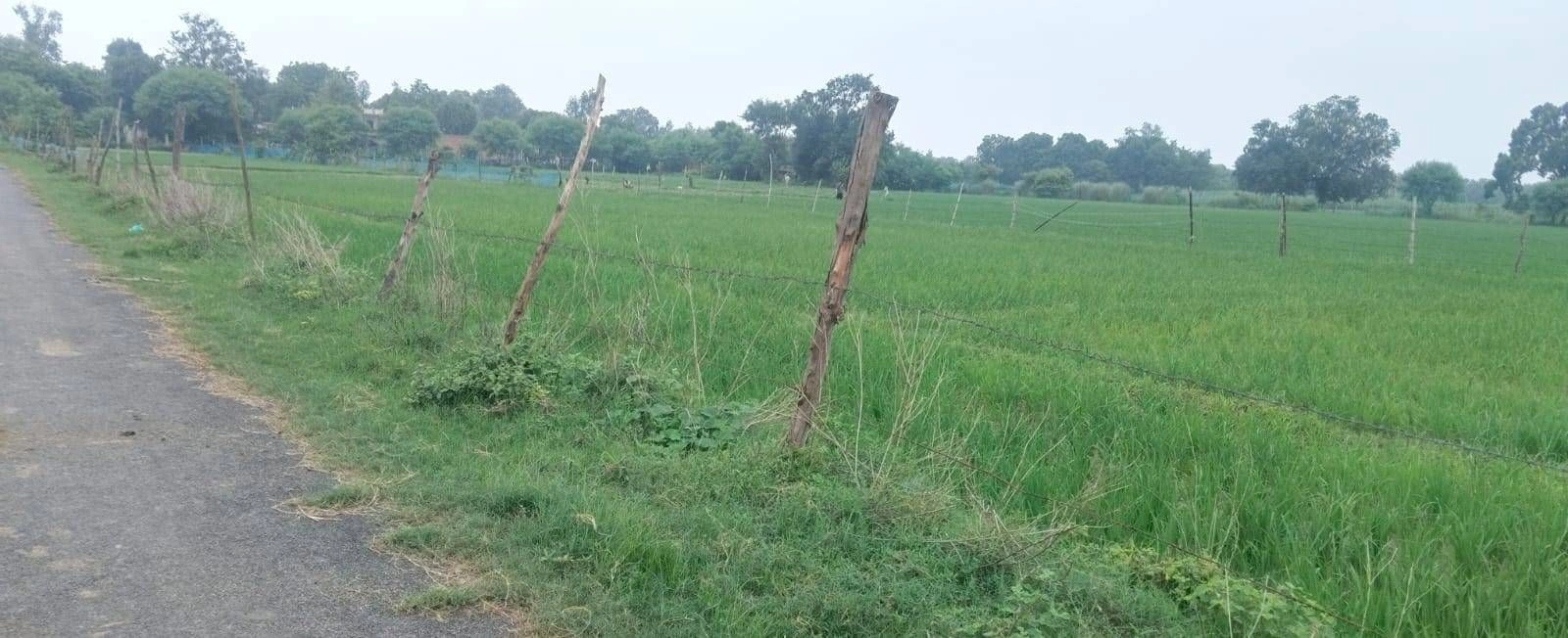 R5VV+49 Balpur, Gonda, Uttar Pradesh, India