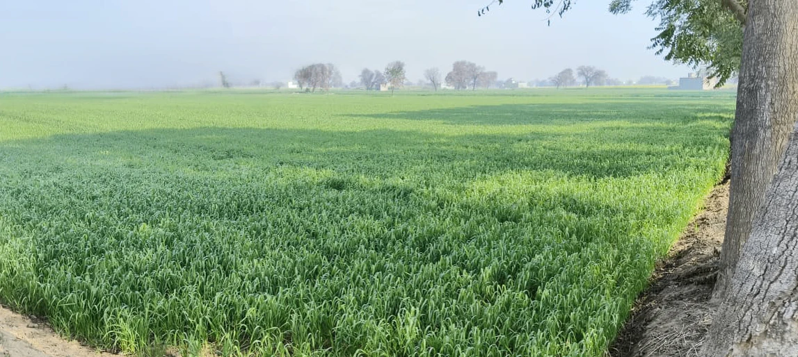 Bundu, Jharkhand 835204, India