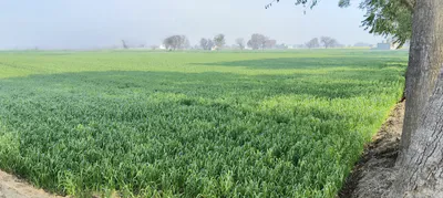 Bundu, Jharkhand 835204, India preview 3