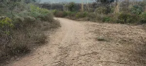 H7JQ+CRC, Ghaata, Rajasthan 321022, India preview 6