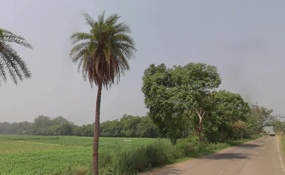 Jhunjhuni, Uttar Pradesh 250401, India