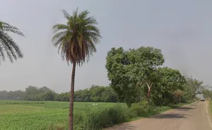 Jhunjhuni, Uttar Pradesh 250401, India preview 3