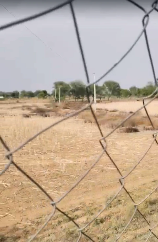 P45P+5V6, Hingoti, Rajasthan 303302, India
