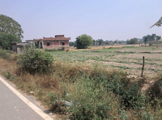 Rajpura, Punjab, India