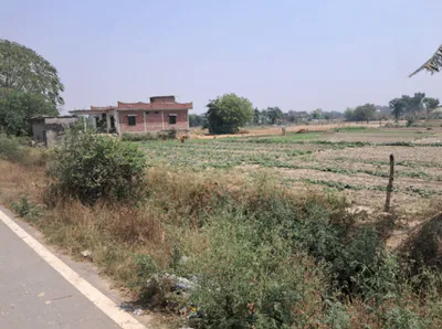 Rajpura, Punjab, India preview 3