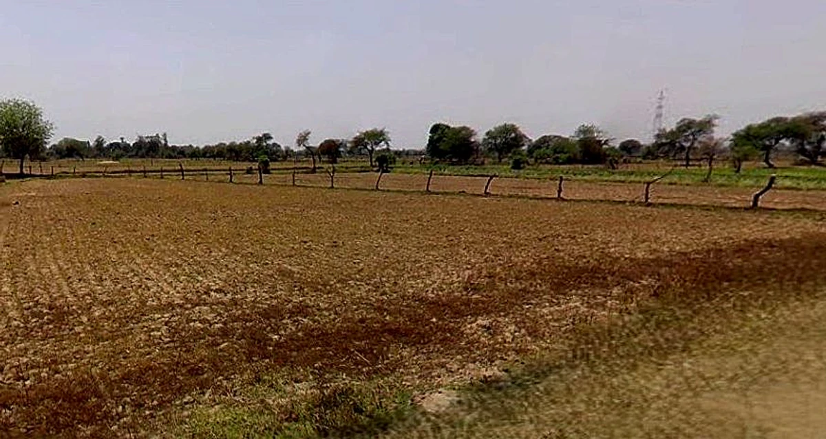 Barsana, Uttar Pradesh 281405, India